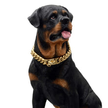 Load image into Gallery viewer, Dog Chain Collar